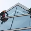 Why You Need A Professional Window Cleaning Company